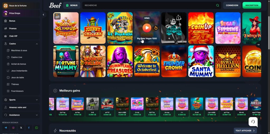 FSBONUS100 shown on the Beef Casino offer